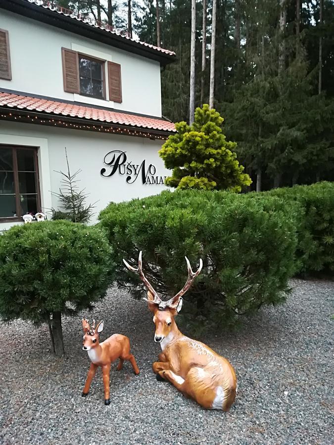 Hotel Pusyno Namai Tirkšliai Rom bilde